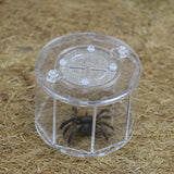 Maxbell Spider Insect Reptile Tank Vivarium Cage Box Clear Acrylic Terrarium Clear
