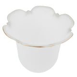 Max Replacement Ceiling Fan Vanity Clear Lamp Shade Light  Golden Rim