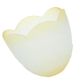Max White Translucent Glass Lamp Shade for Ceiling Fan Light 2