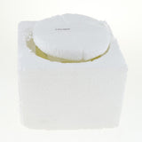 Max White Translucent Glass Lamp Shade for Ceiling Fan Light 2