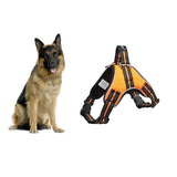 Max LED Dog Puppy Luminous Harness Soft Reflective Breathable Vest  Orange S