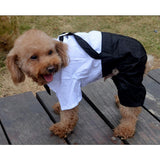 Max Pet Cozy Dog Outfit Suit with Bowtie for Small Dogs & Cats Costume S