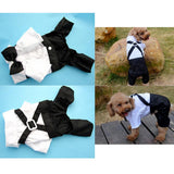 Max Pet Cozy Dog Outfit Suit with Bowtie for Small Dogs & Cats Costume S