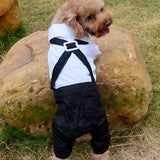 Max Pet Cozy Dog Outfit Suit with Bowtie for Small Dogs & Cats Costume S