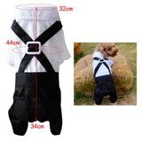 Max Pet Cozy Dog Outfit Suit with Bowtie for Small Dogs & Cats Costume XL