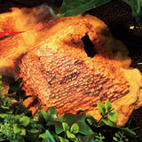 Max Reptile Hiding Cave Fish Tank Landscape Ornament for Reptile 29x19.5x25.5cm