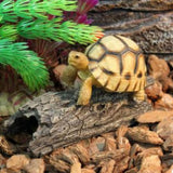 Max Reptile Hide Cave Tree Shell Decor Aquarium Turtle Basking Platform Ornament