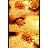 Max Corn Cob Reptile Mat For Lizard Tortoise Crawling Pet Corn Sand Granules
