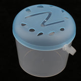 Max 1 Pc Small Pet Carrying Case Fish Tortoise Hamster Carrier Insect Keeper Box