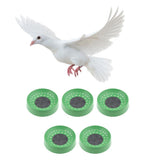 Maxbell Plastic Leaking Bird's Egg Basin Nest Dehumidification Breeding Pigeon Nest