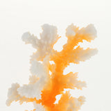 Maxbell Glowing Coral Ornaments for Fish Tank Aquarium Decorations yellow