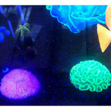 Maxbell 1 Pc Glowing Luminous Aquarium Fish Tank Decoration Artificial Plant Pink