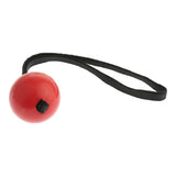 Maxbell Silicone Pet Toy Bouncy Ball Dog Activity Toy Puppy Bouncy Balls With Rope S