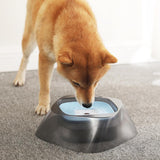 Maxbell Pet Dog Not Wet Mouth Splashing Floating Bowl Stainless Steel Dog Dish Blue