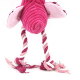 Max Pet Squeaky Toy Teething Chew Toy Interactive Squeaky Toy for Dog Puppies