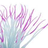 Max 1 Pc Fluorescent Artificial Sea Anemone Coral Aquarium Tank Landscape Purple