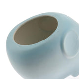 Maxbell Water Feeder with Elephant Shape Pet Water Bottle for Kitten Cat Dog Puppy