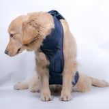 Max Dog Hip Support Harness Dog Lift Support Harness for Small to Medium Dog M