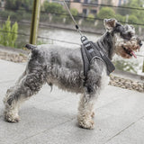 Max Dog Vest Harness Dog Chest Strap Adjustable Dog Vest for Small Medium Dog XS