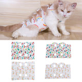 Maxbell Cat Recovery Suit Kitten Recovery Protective Coat Clothes Small Dinosaur S