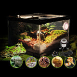 Maxbell Reptile Tortoise Habitat Ceramic Heating Light Holder Black UK Plug