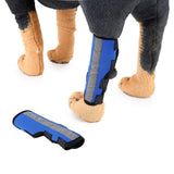 Max Pet Knee Pads Pet Leg Socks Pet Dog Puppy Protective Joints Protector Blue S