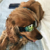 Maxbell Pet Dog Puppy Sunglasses Anti-UV Sunglasses for Small Medium Dogs Colorful