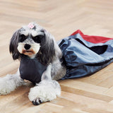 Maxbell Walking Drag Bag for Paralyzed Pets to Protect Dog Chest and Limbs   L