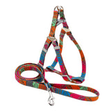 Max Pet Harness Vest Set Pet Walking Leash for Small Animals Cat Dog Type 1-M