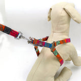 Max Pet Harness Vest Set Pet Walking Leash for Small Animals Cat Dog Type 1-M