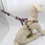 Max Pet Harness Vest Set Pet Walking Leash for Small Animals Cat Dog Type 2-M
