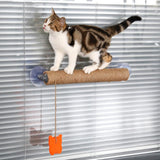 Max Cat Kitten Scratch Toy Cat Scratching Post for Cat Claw Scracthing Toys