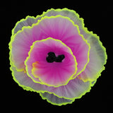 Max Aquarium Artificial Corals Fish Tank Aquarium Ornament for Fish Tank Purple