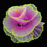 Max Aquarium Artificial Corals Fish Tank Aquarium Ornament for Fish Tank Purple