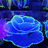 Max Aquarium Artificial Corals Fish Tank Aquarium Ornament for Fish Tank Blue