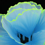 Max Aquarium Artificial Corals Fish Tank Aquarium Ornament for Fish Tank Blue