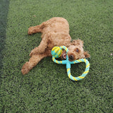 Max Dog Teeth Cleaning Toy Pet Interactive Ball Toy Rope on a Leak Food Ball