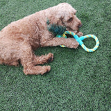 Max Dog Teeth Cleaning Toy Pet Interactive Ball Toy Rope on a Leak Food Ball