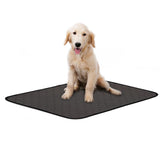 Max Washable Pet Dog Pee Pad Dog Training Obedience Pee Pad For Cat Dog Black-M