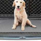 Max Washable Pet Dog Pee Pad Dog Training Obedience Pee Pad For Cat Dog Black-M