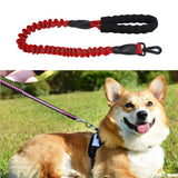 Maxbell Elastic Adjustable Pet Traction Rope Leash Dog Walking Rope For Dog Red