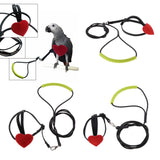 Max Bird Parrot Harness Leash Pet Rope For Birds Outdoor Training Leash  XS