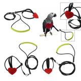 Max Bird Parrot Harness Leash Pet Rope For Birds Outdoor Training Leash  XS