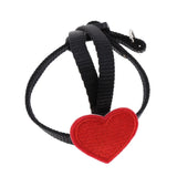 Max Bird Parrot Harness Leash Pet Rope For Birds Outdoor Training Leash  XS