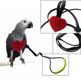 Max Bird Parrot Harness Leash Pet Rope For Birds Outdoor Training Leash  S
