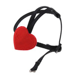 Max Bird Parrot Harness Leash Pet Rope For Birds Outdoor Training Leash  S