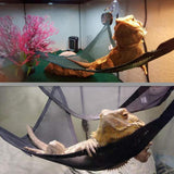 Max 2 pcs Pet Reptile Lizard Hammock Pet Corner Hammock with Suction Cup L