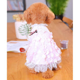 Max Dog Wedding Costume Pet Summer Dress For Pet Dog Birthday Wedding Party L
