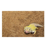 Max Reptiles Moisturizing Coconut Coir Mat Cage Mat Substrate 105x80cm Brown