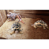 Max Reptiles Moisturizing Coconut Coir Mat Cage Mat Substrate 105x80cm Brown